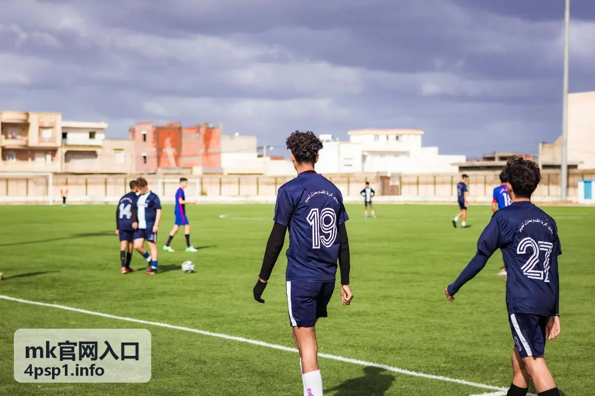 mk官网入口核对的地址比对示意