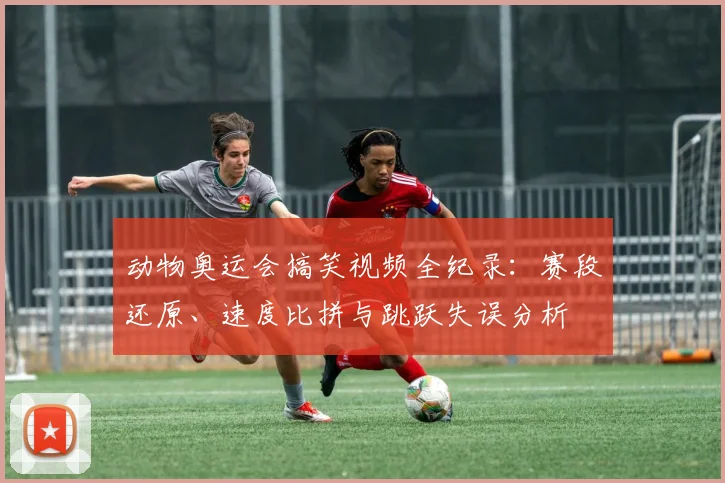 动物奥运会搞笑视频全纪录:赛段还原、速度比拼与跳跃失误分析