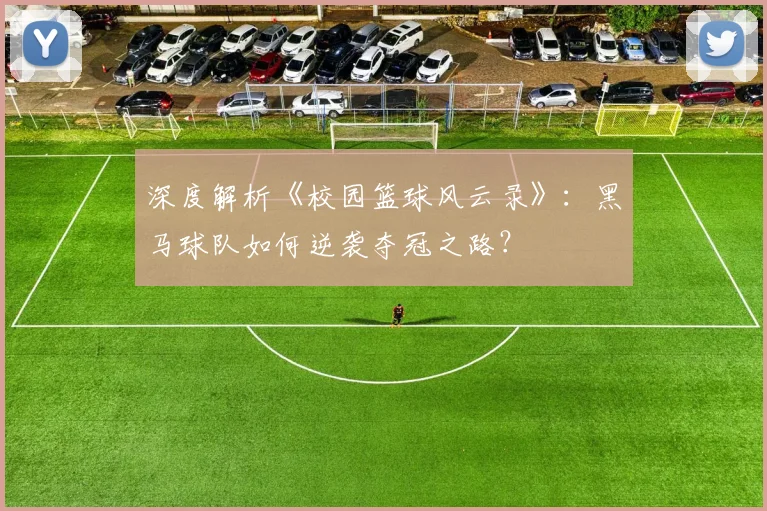 深度解析《校园篮球风云录》：黑马球队如何逆袭夺冠之路？