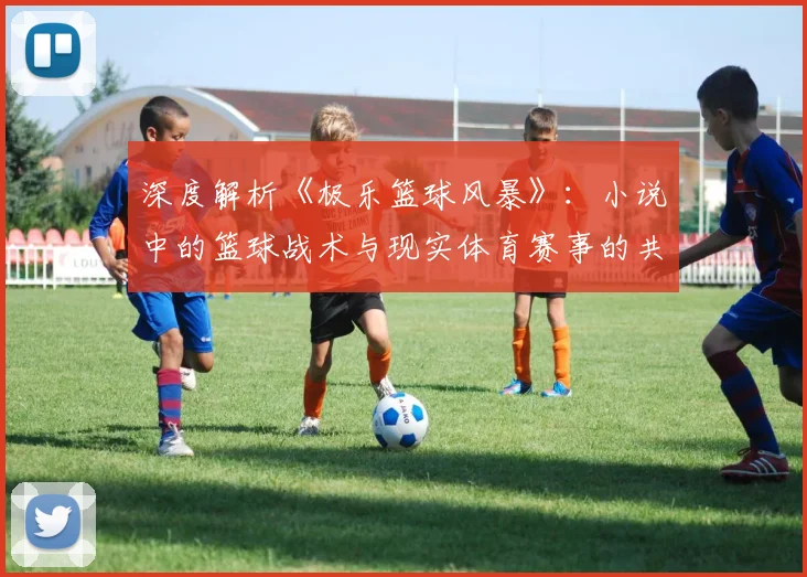 深度解析《极乐篮球风暴》：小说中的篮球战术与现实体育赛事的共鸣