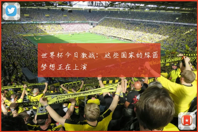 世界杯今日激战：这些国家的绿茵梦想正在上演