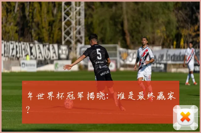 年世界杯冠军揭晓：谁是最终赢家？