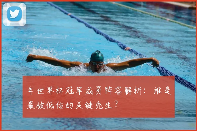 年世界杯冠军成员阵容解析：谁是最被低估的关键先生？