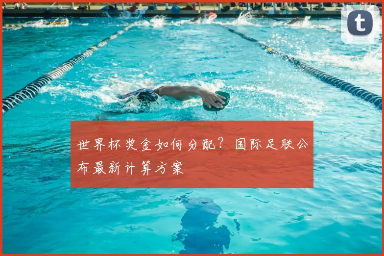 世界杯奖金如何分配？国际足联公布最新计算方案