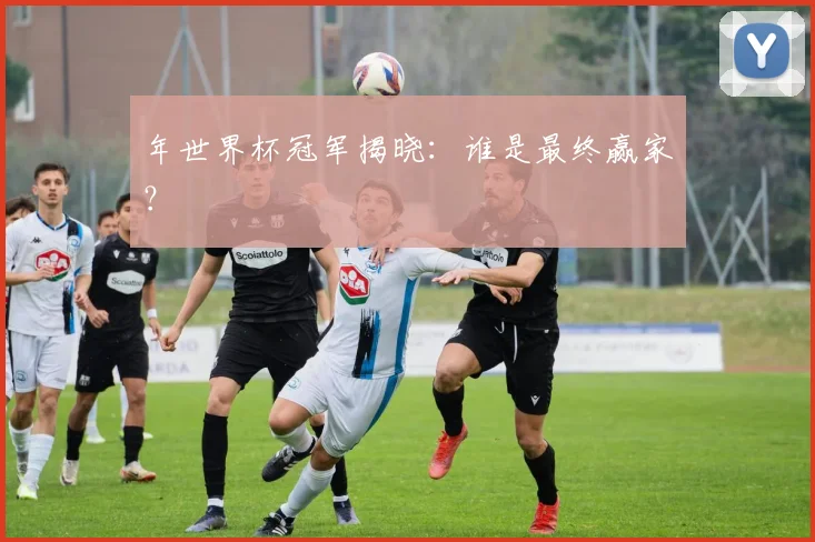 年世界杯冠军揭晓：谁是最终赢家？